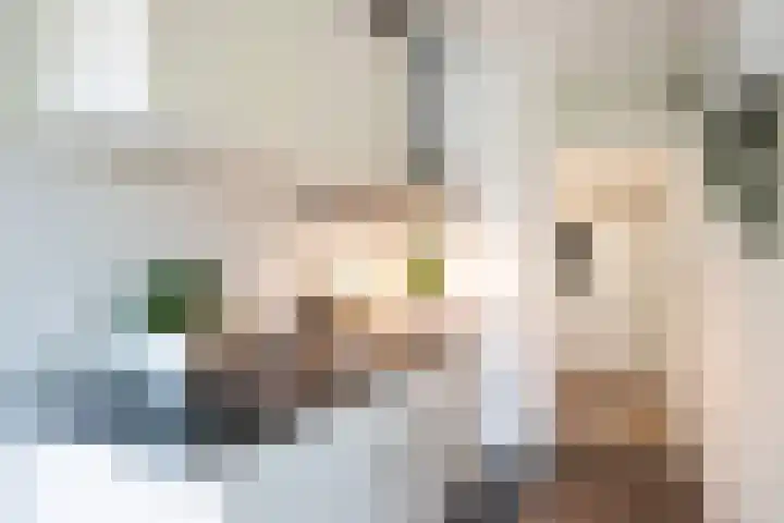 Moezeldreef 311 Utrecht thumbnail 11
