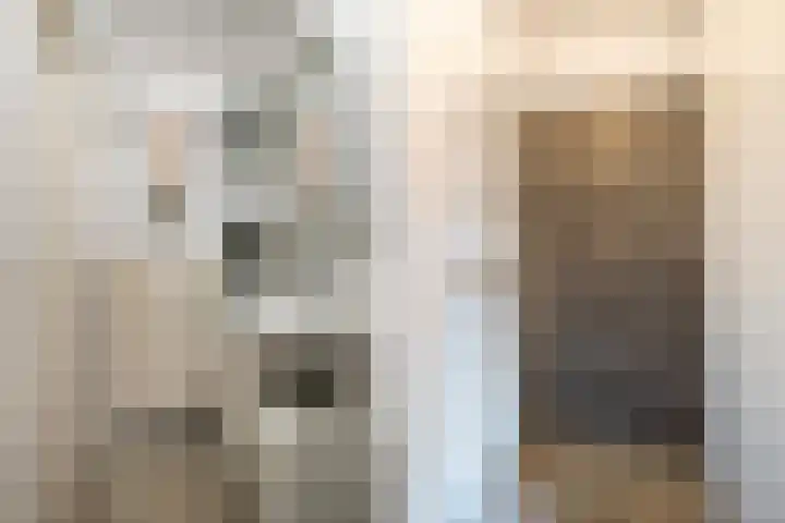 Moezeldreef 311 Utrecht thumbnail 14