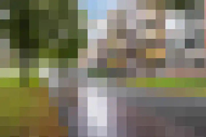 Moezeldreef 311 Utrecht thumbnail 17