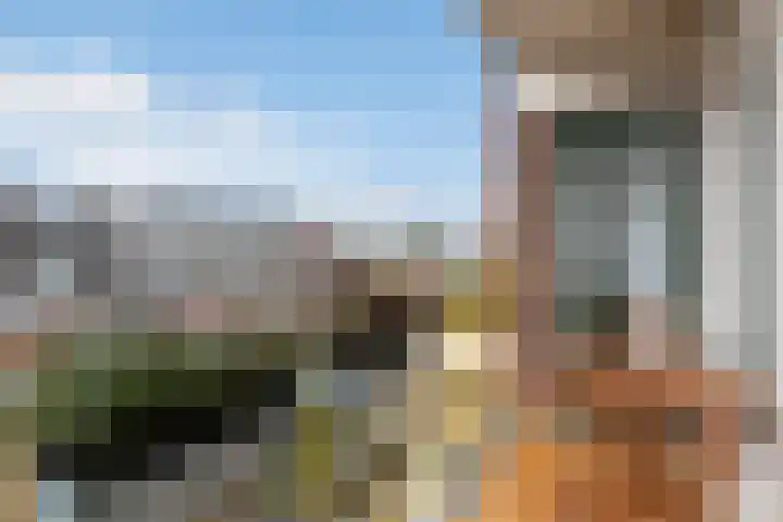 Moezeldreef 311 Utrecht thumbnail 6