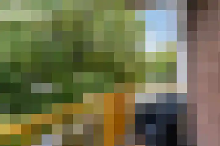 Moezeldreef 311 Utrecht thumbnail 9