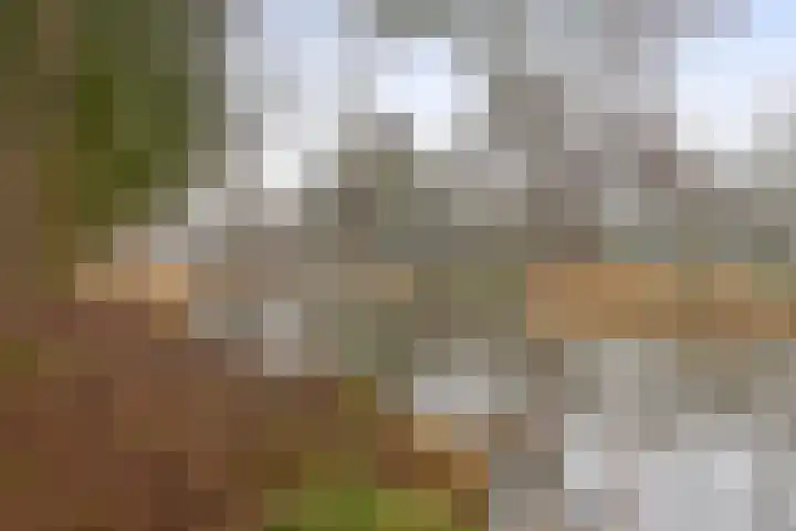 Moezeldreef 87 Utrecht thumbnail 25