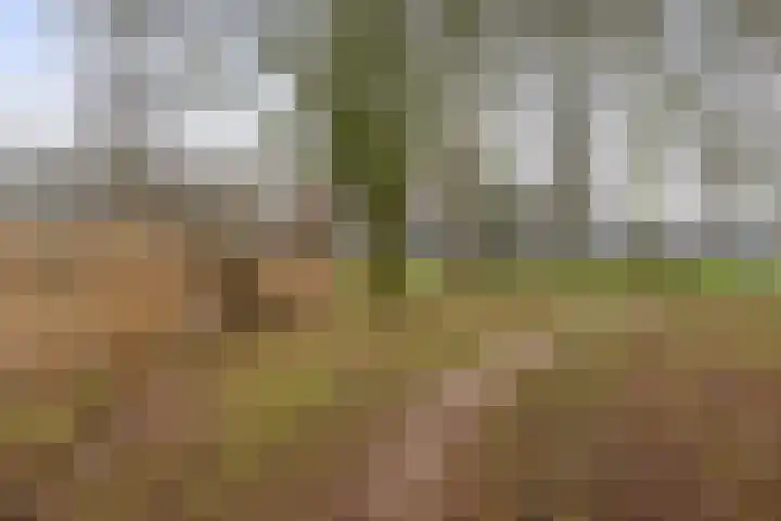 Moezeldreef 87 Utrecht thumbnail 26