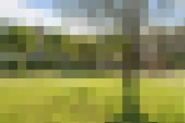 Moezeldreef 93 Utrecht thumbnail 36