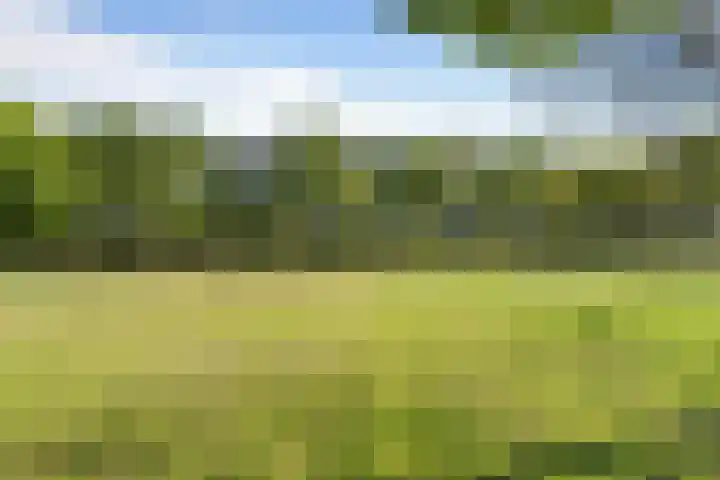 Moezeldreef 93 Utrecht thumbnail 37