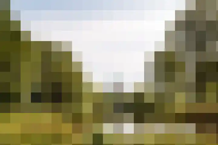 Moezeldreef 93 Utrecht thumbnail 38