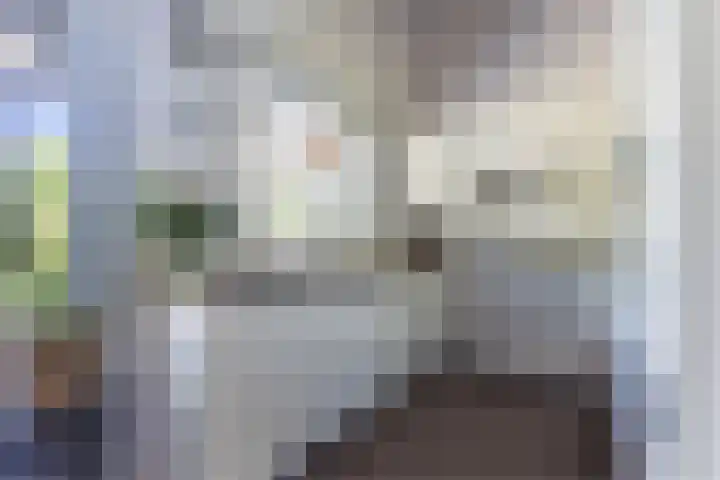 Moezelhof 5 Veghel thumbnail 11
