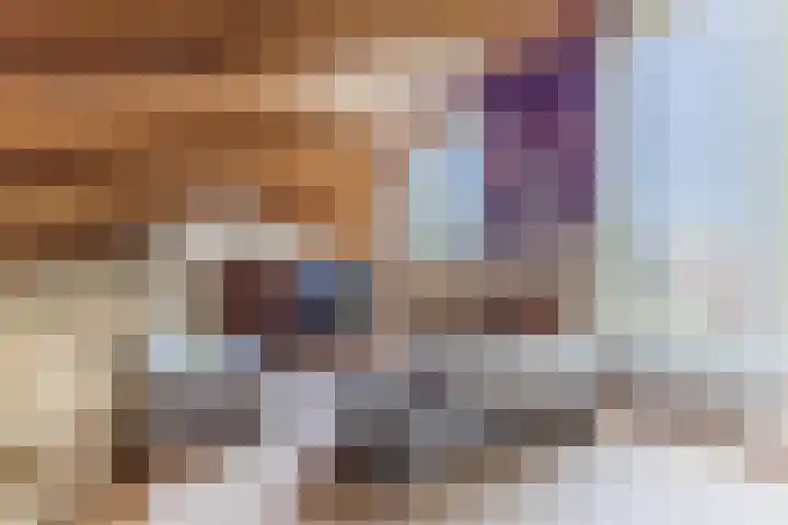 Moezelhof 5 Veghel thumbnail 12