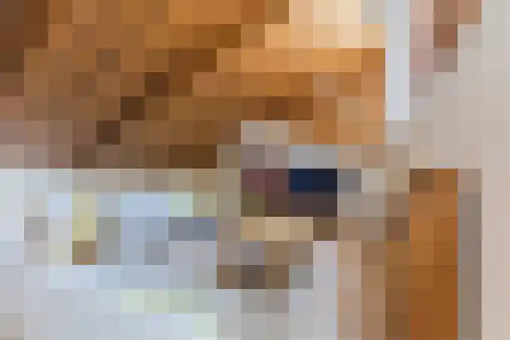 Moezelhof 5 Veghel thumbnail 13