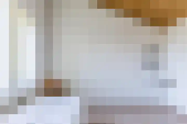 Moezelhof 5 Veghel thumbnail 18