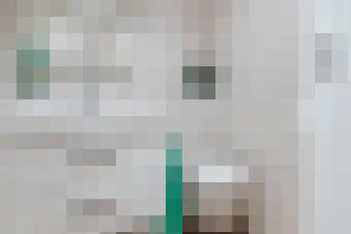 Moezelhof 5 Veghel thumbnail 20