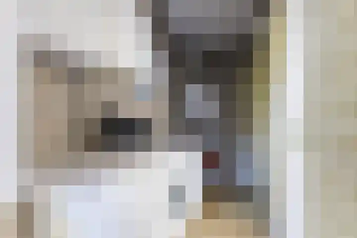 Moezelhof 5 Veghel thumbnail 23