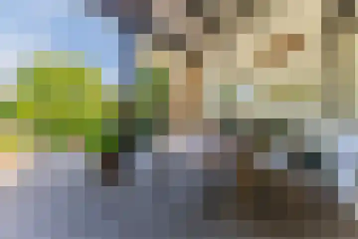 Moezelhof 5 Veghel thumbnail 24