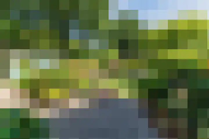 Moezelhof 5 Veghel thumbnail 25