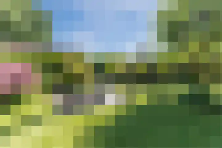 Moezelhof 5 Veghel thumbnail 26