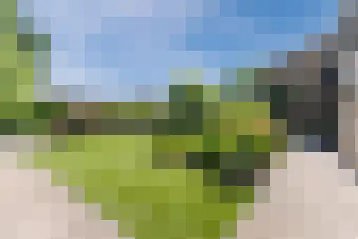 Moezelhof 5 Veghel thumbnail 28