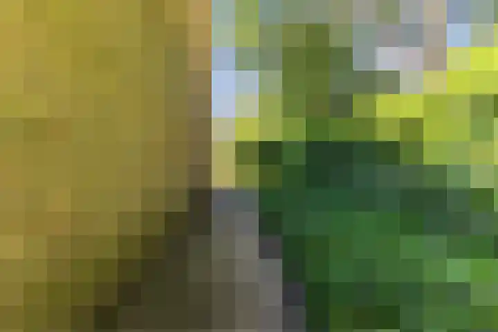 Moezelhof 5 Veghel thumbnail 29