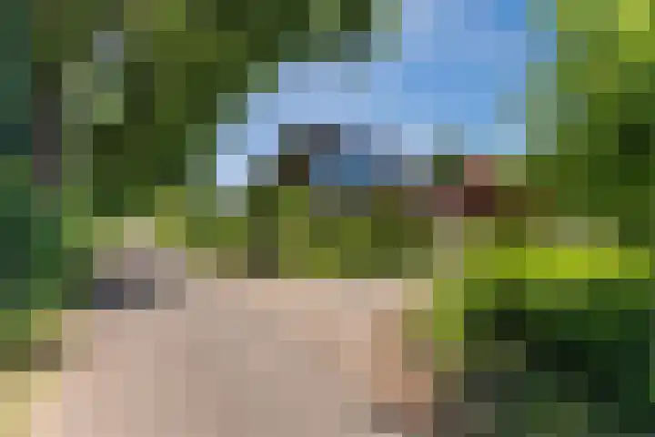 Moezelhof 5 Veghel thumbnail 33