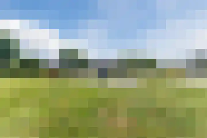 Moezelhof 5 Veghel thumbnail 34