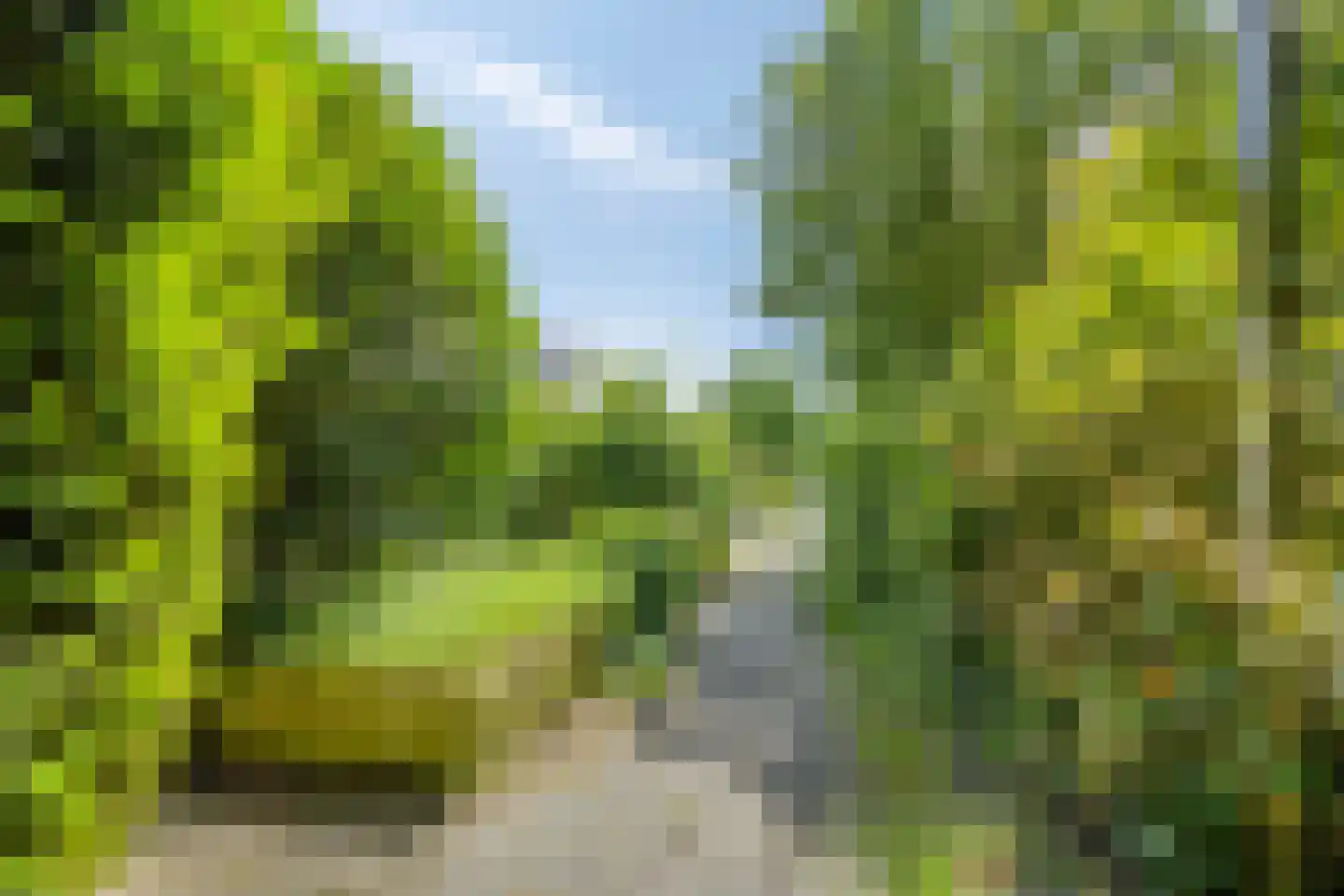 Moezelstraat 29 Assen thumbnail 45