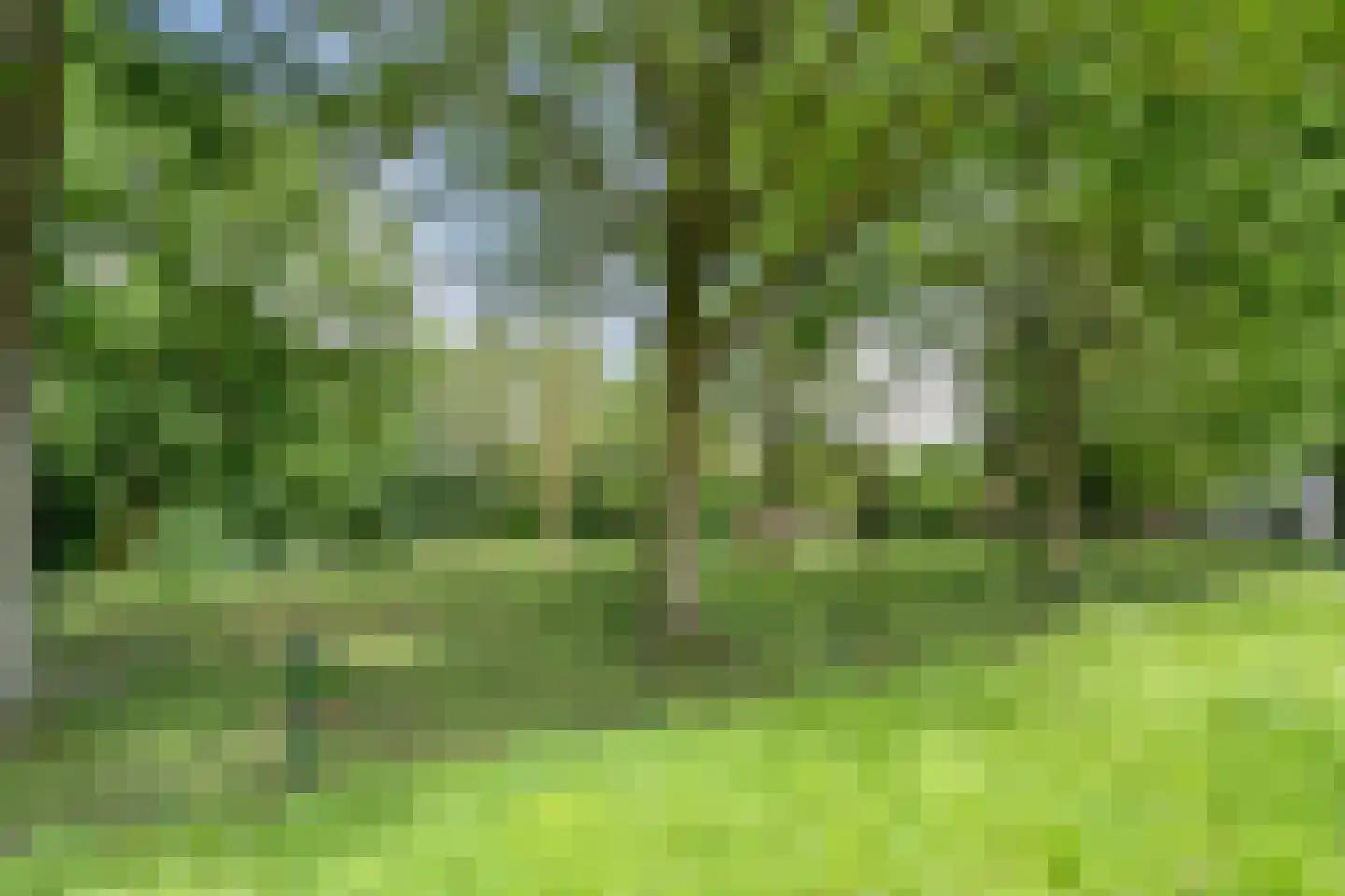 Moezelstraat 29 Assen thumbnail 49