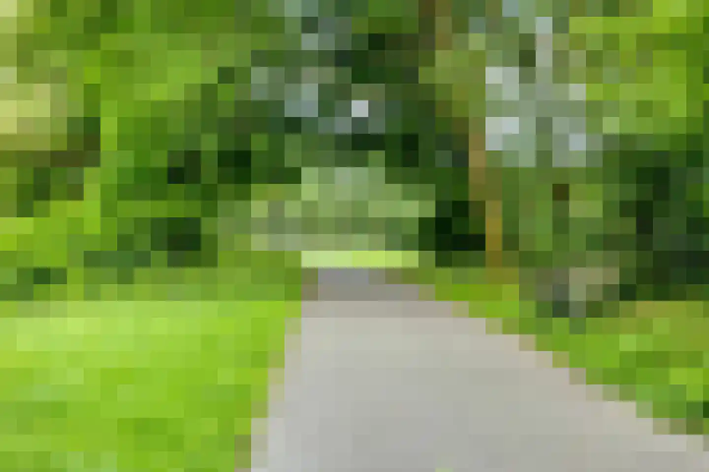 Moezelstraat 29 Assen thumbnail 51
