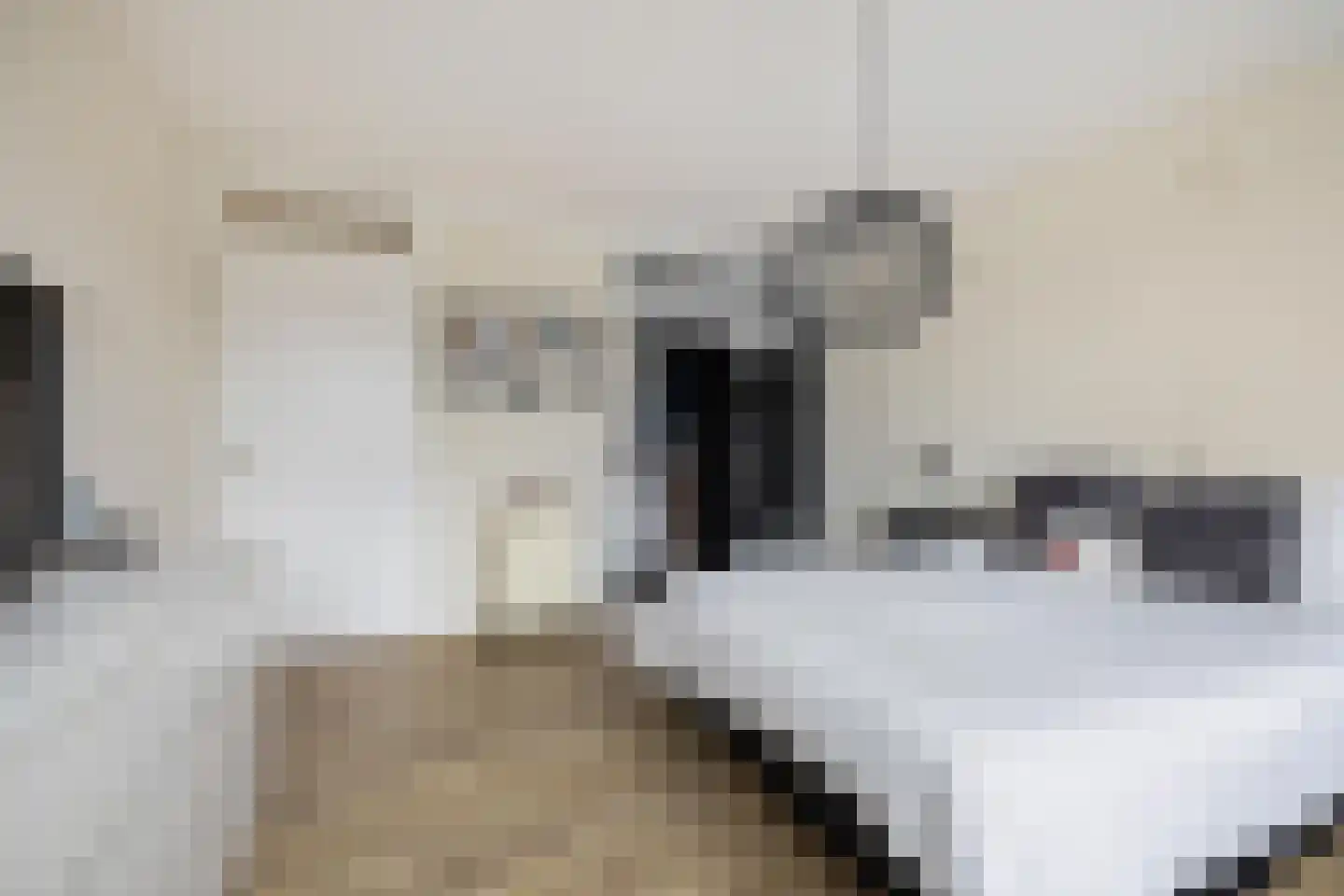 Moezelstraat 56 Assen thumbnail 21