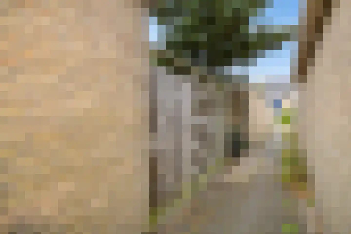 Moezelstraat 56 Assen thumbnail 43