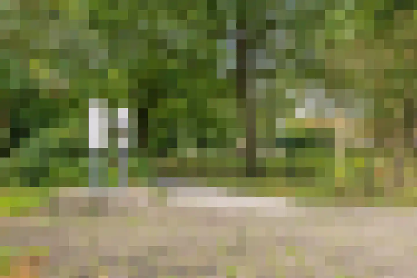 Moezelstraat 56 Assen thumbnail 45