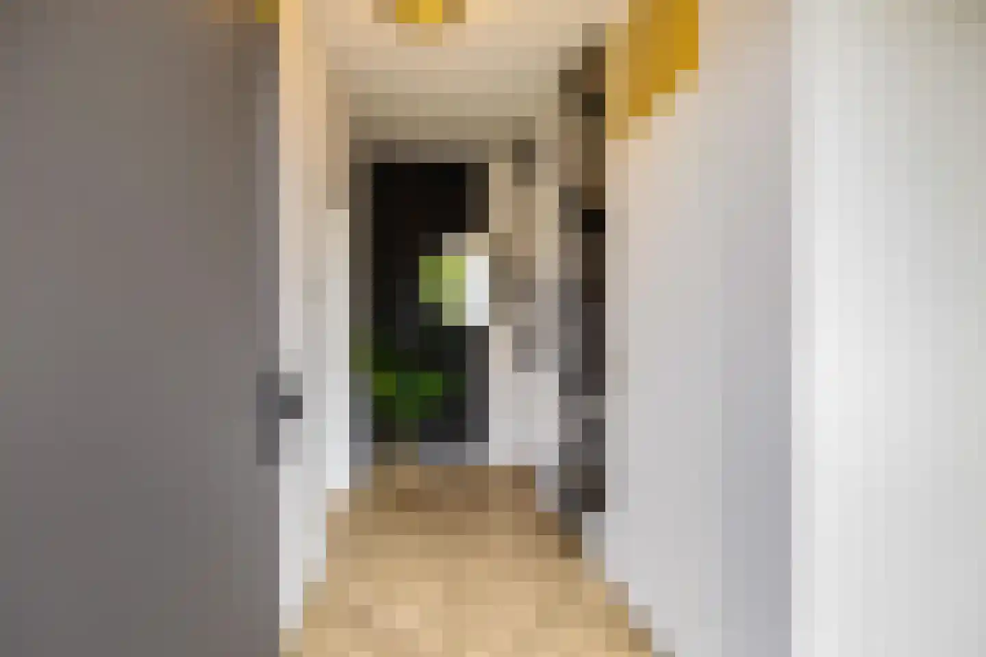 Moezelstraat 56 Assen thumbnail 9