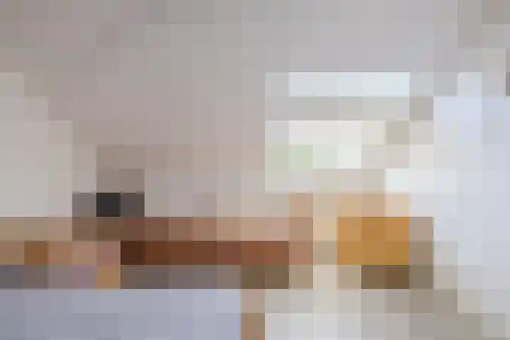 Moezelstraat 73 Assen thumbnail 31