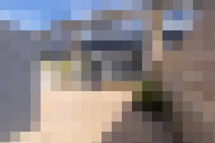 Moezelstraat 73 Assen thumbnail 36