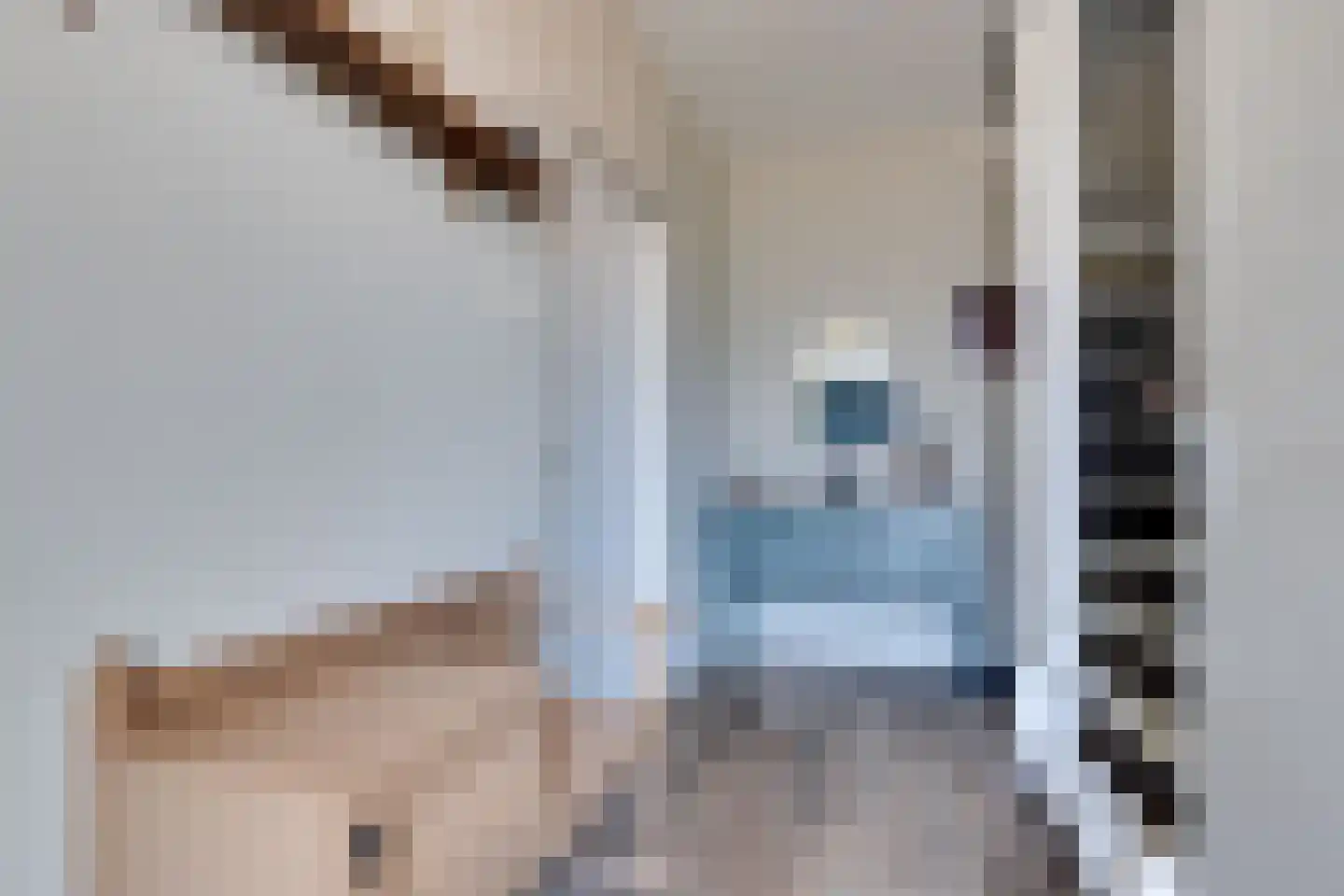 Moezelstraat 9 Assen thumbnail 12