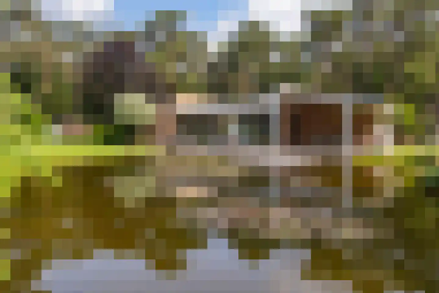 Moftbos 4 Bennekom