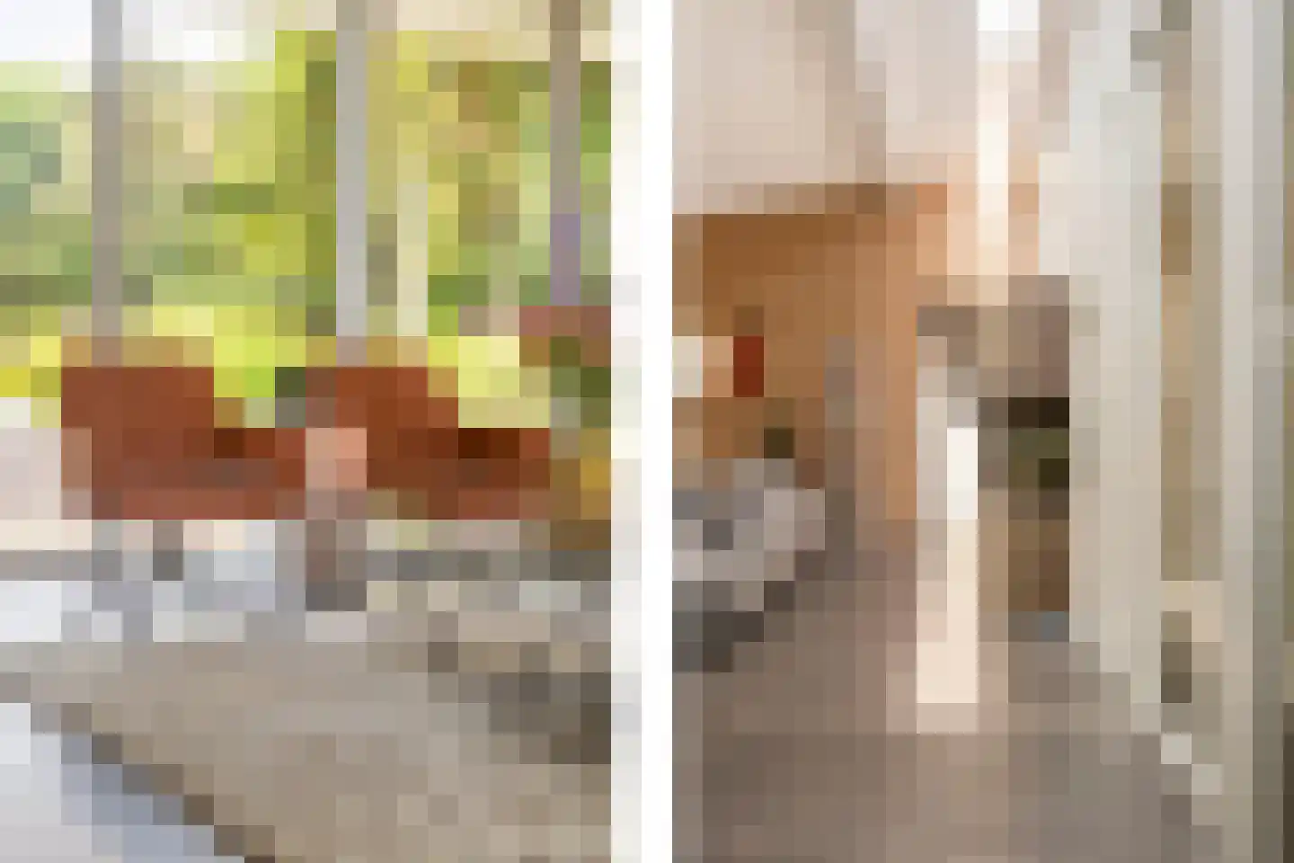 Moftbos 4 Bennekom thumbnail 13
