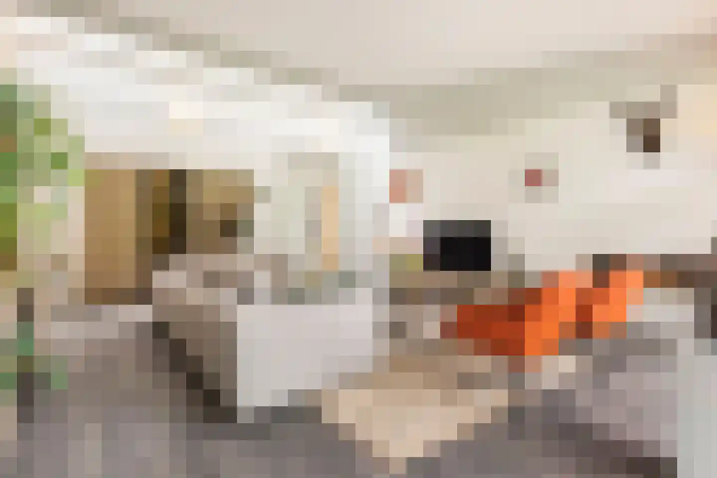 Moftbos 4 Bennekom thumbnail 16