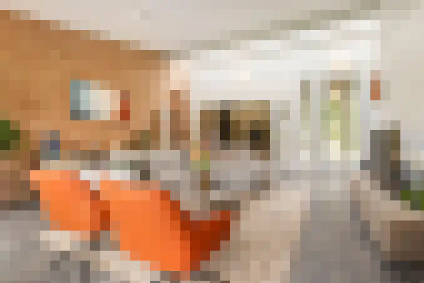 Moftbos 4 Bennekom thumbnail 18