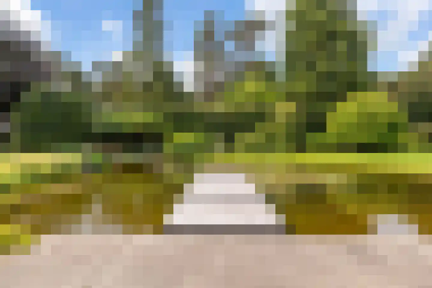 Moftbos 4 Bennekom thumbnail 46