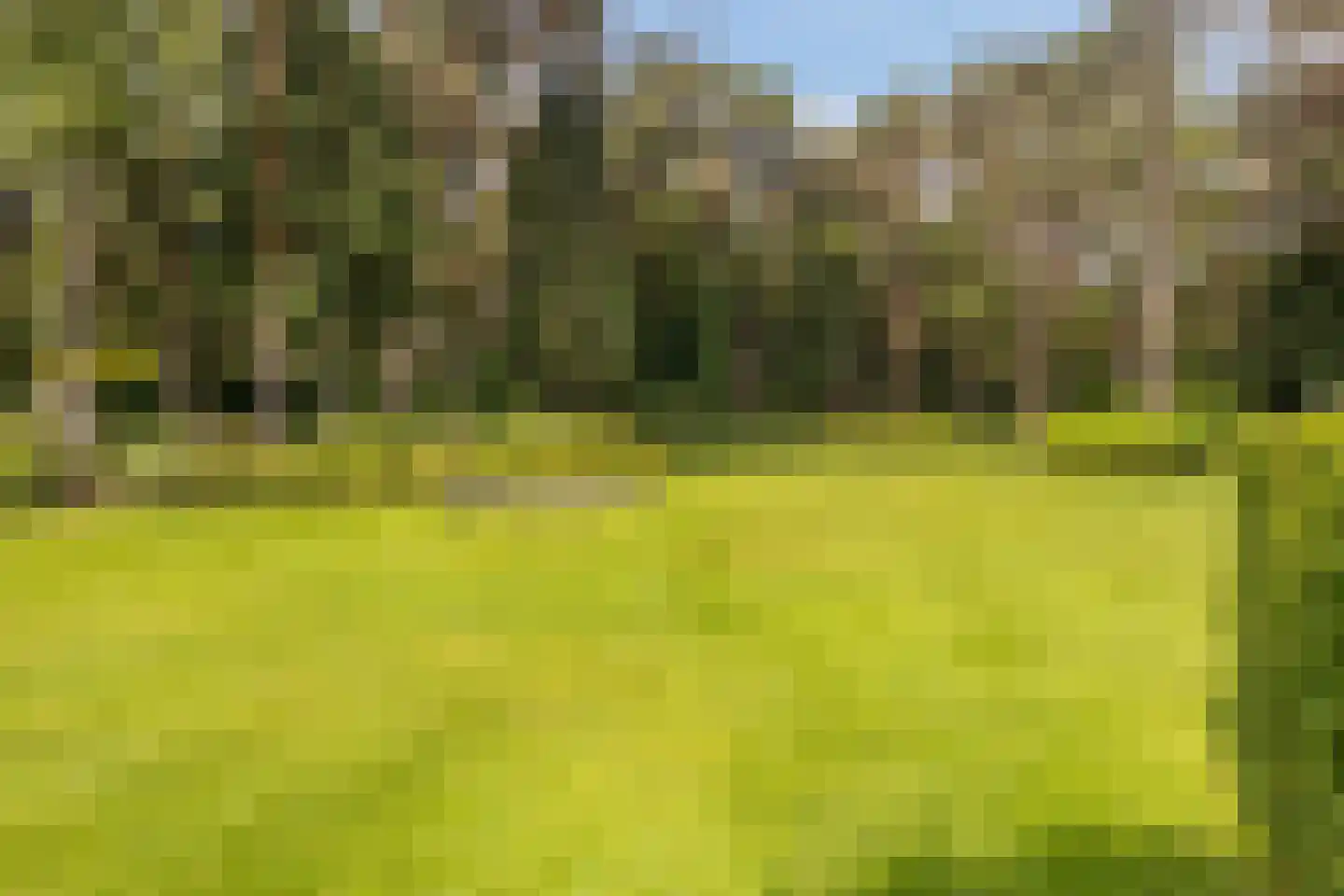 Moftbos 4 Bennekom thumbnail 51