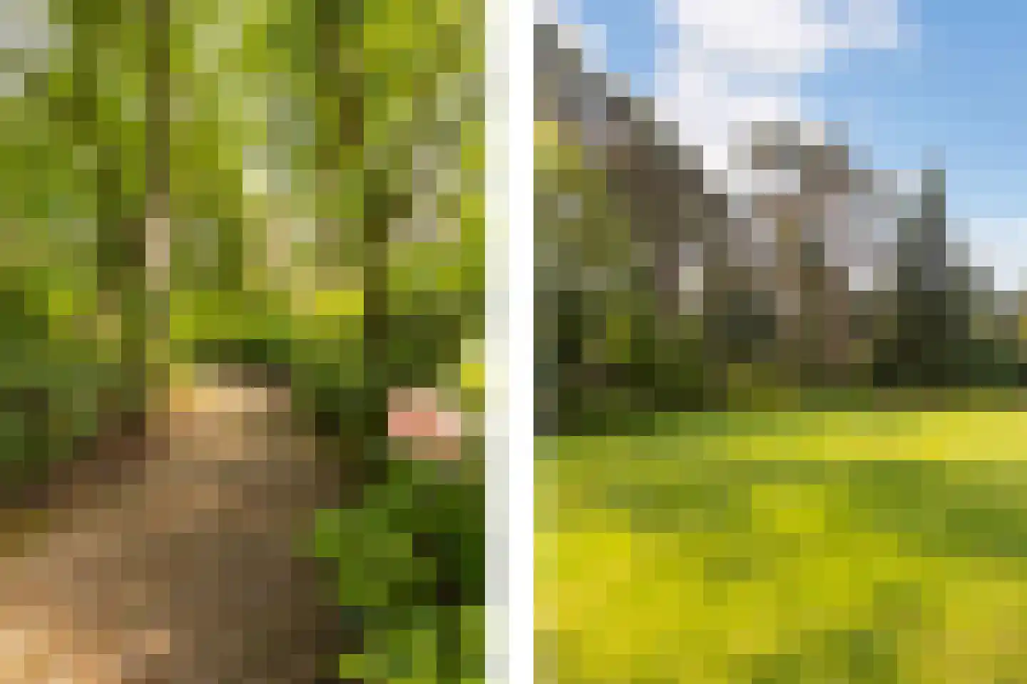 Moftbos 4 Bennekom thumbnail 57