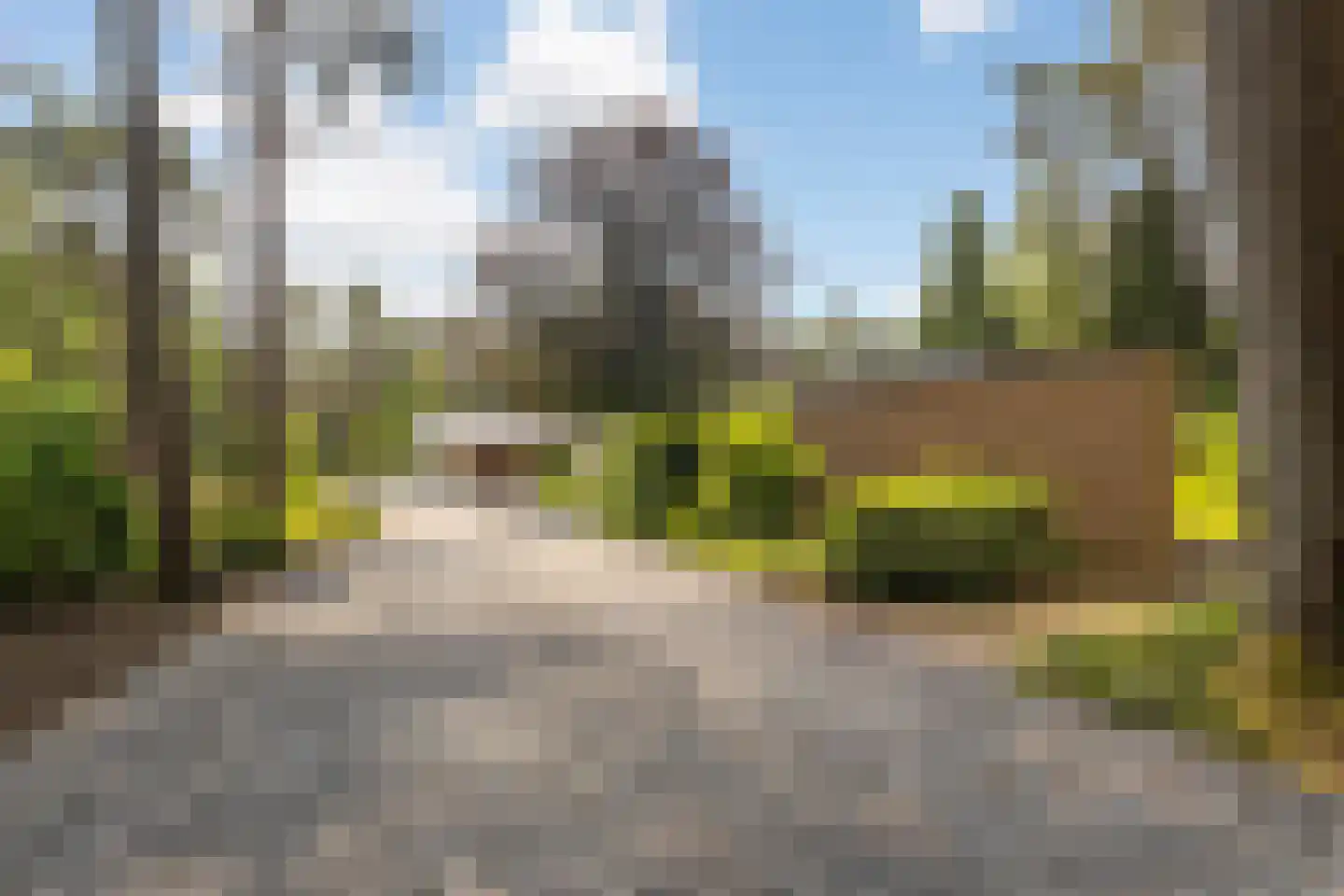 Moftbos 4 Bennekom thumbnail 6