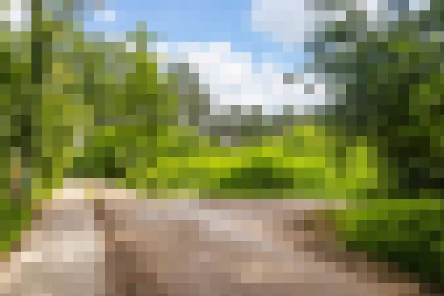 Moftbos 4 Bennekom thumbnail 75