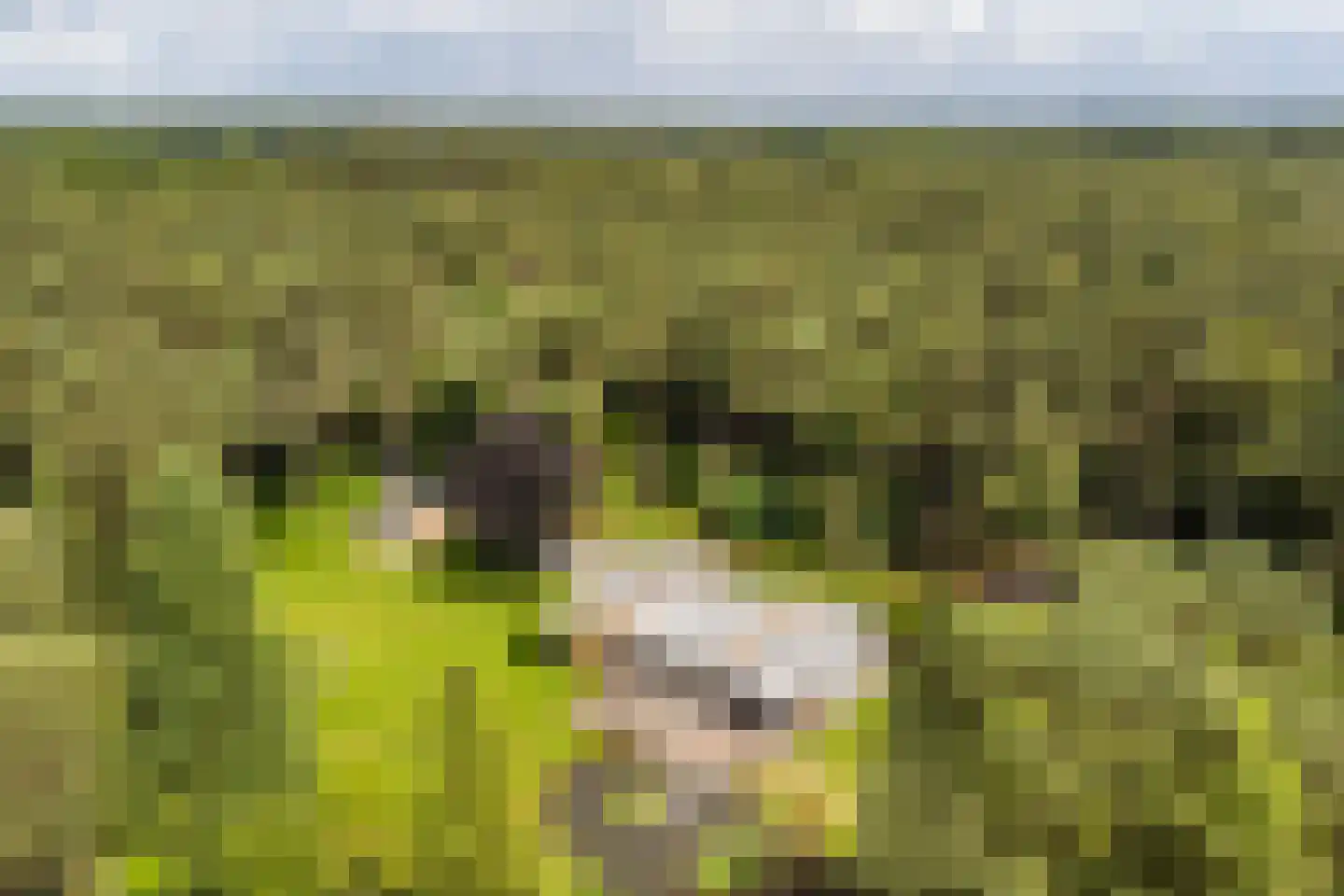 Moftbos 4 Bennekom thumbnail 77