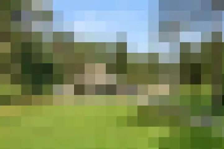 Moftbos 8 dans Bennekom