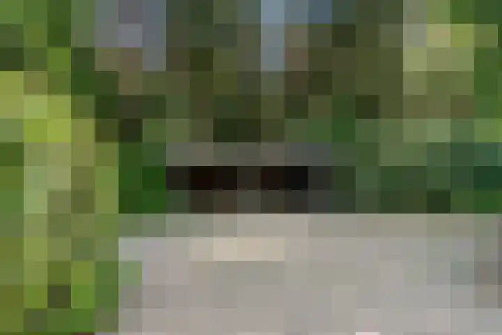 Moftbos 8 Bennekom thumbnail 10