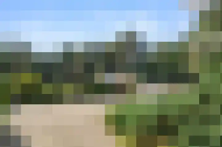 Moftbos 8 Bennekom thumbnail 11