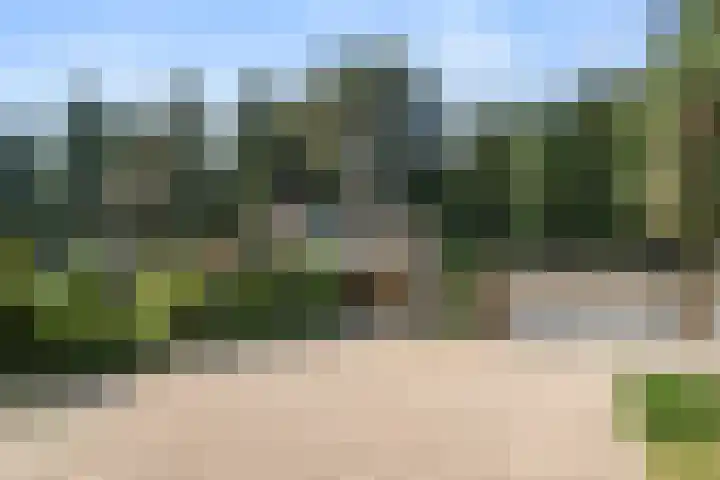 Moftbos 8 Bennekom thumbnail 12
