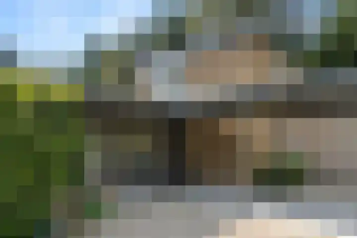 Moftbos 8 Bennekom thumbnail 15