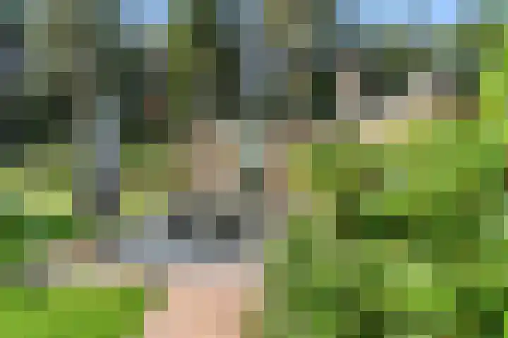 Moftbos 8 Bennekom thumbnail 17