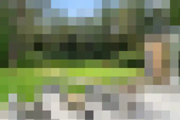 Moftbos 8 Bennekom thumbnail 18